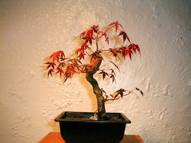 497.jpg