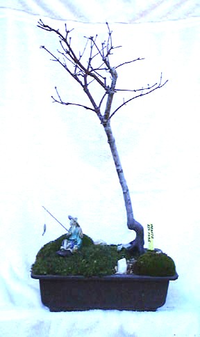 53.jpg