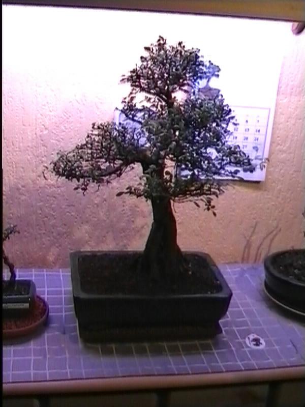 536.jpg