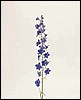 030684.JPG