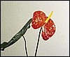 030690.JPG