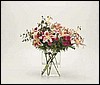 030717.JPG