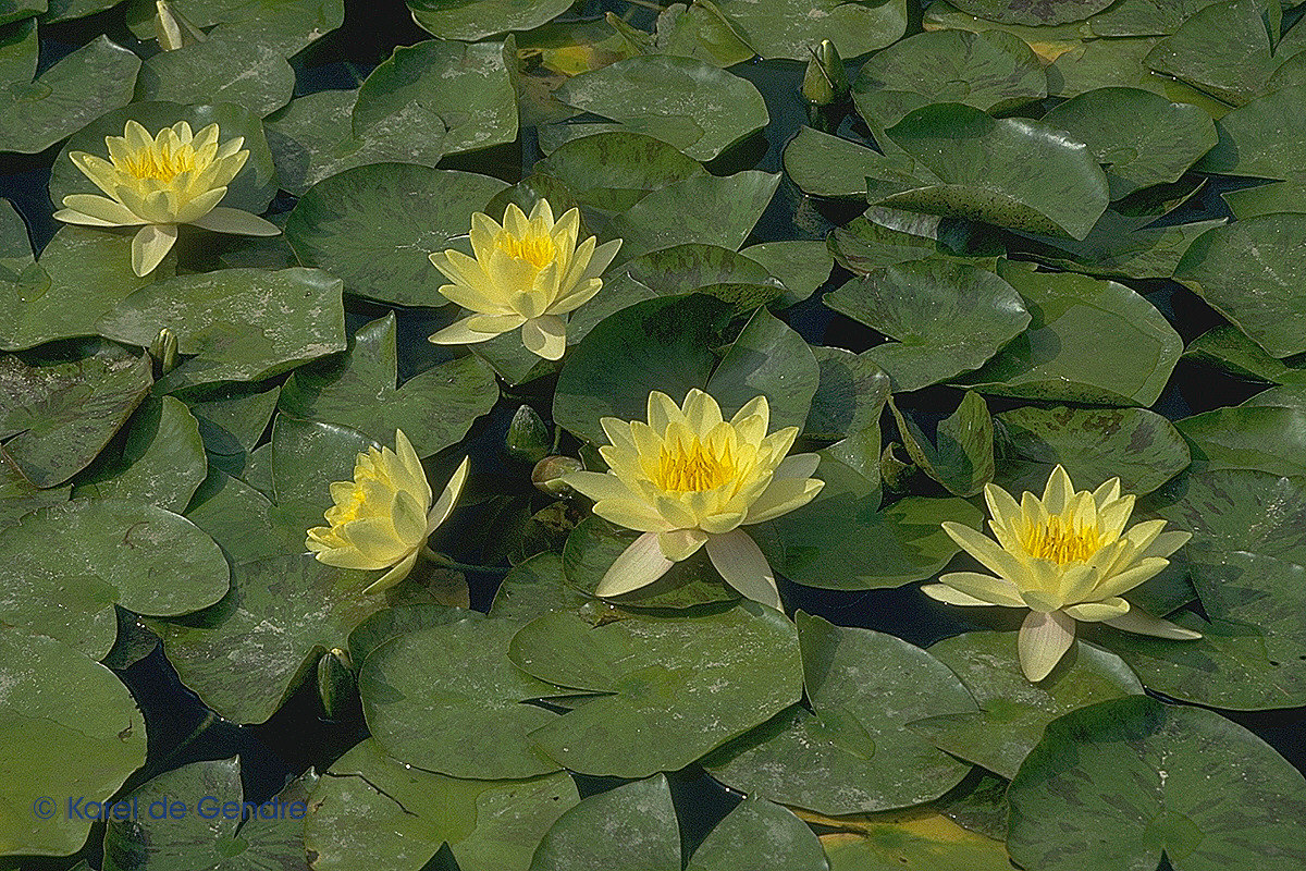 img0043.jpg