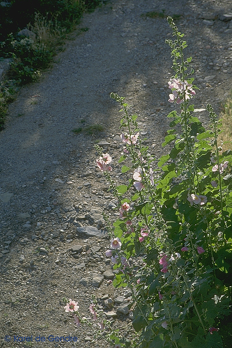 img0046.jpg