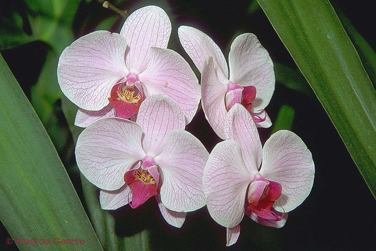 img0049.jpg