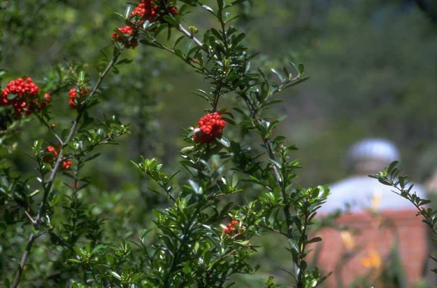 P0107687.JPG