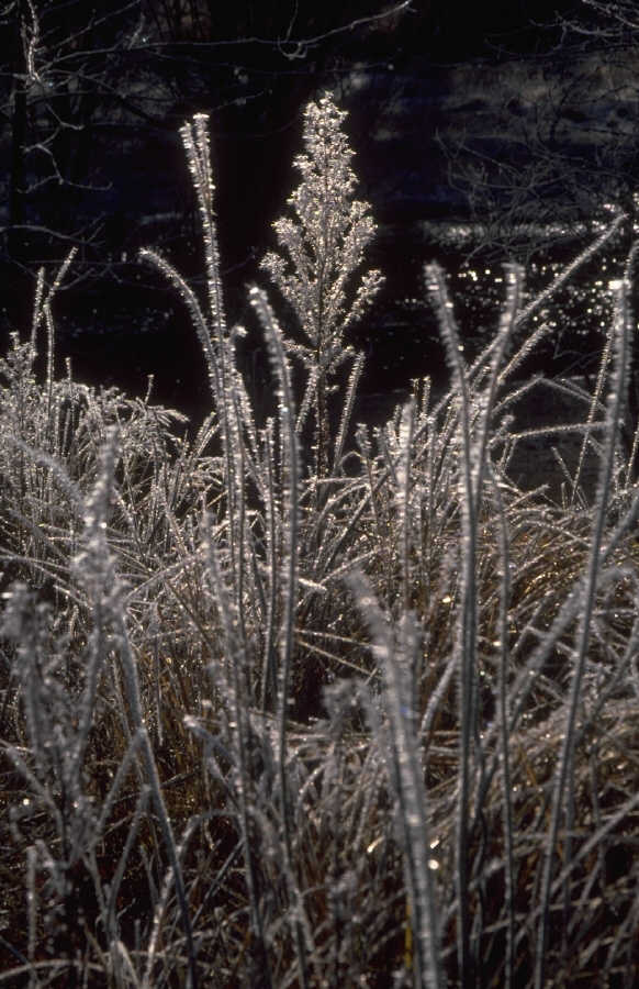 P0107698.JPG