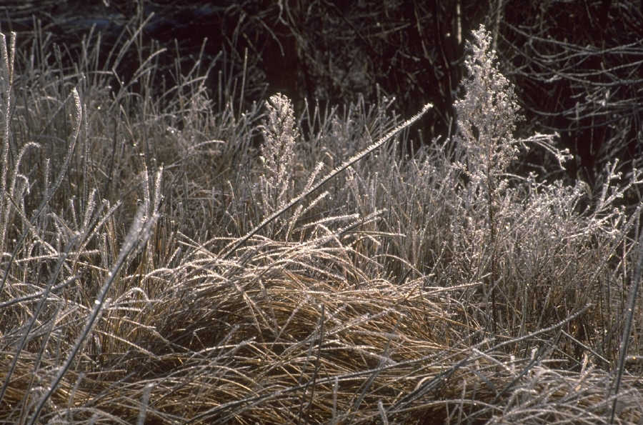 P0107699.JPG