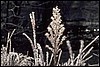 P0107701.JPG
