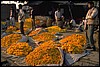 P0108101.JPG