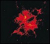 028538.JPG