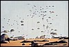 144062.jpg