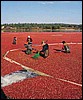 030555.JPG