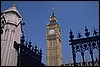 P0107577.JPG