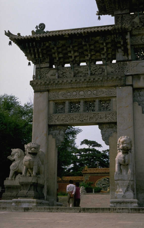 P0102356.JPG