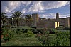 P0102372.JPG