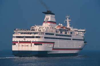 239001.jpg