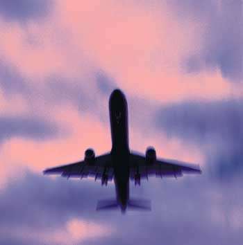 244002.jpg