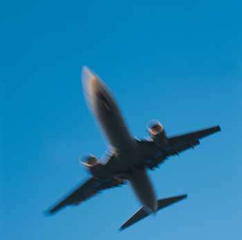 244003.jpg