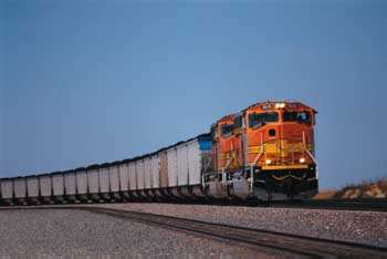255003.jpg