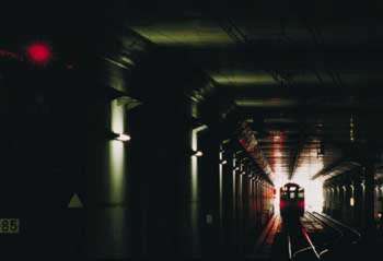 257009.jpg
