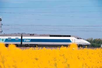 257011.jpg