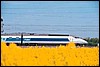 257011.jpg