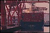 262001.jpg