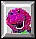 ic-205.gif